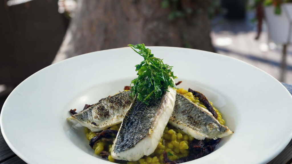 2-Dourada-com-Cevadinha-1